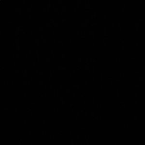 Meet your Posher, Kellyn